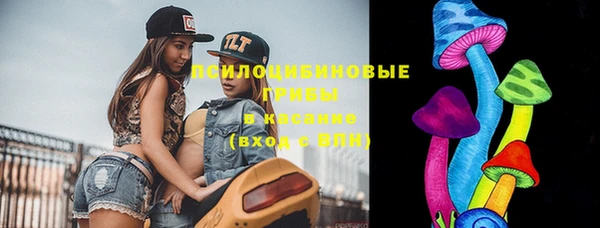 прущие грибы Протвино