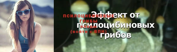 стаф Пролетарск