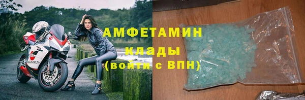 прущие грибы Протвино