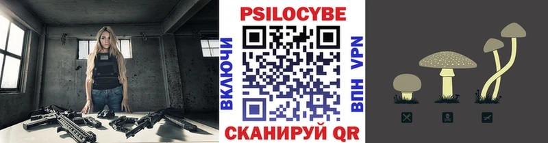 Галлюциногенные грибы Psilocybine cubensis  Кинешма 