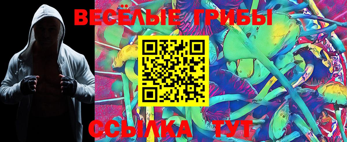 Галлюциногенные грибы MAGIC MUSHROOMS  Галлюциногенные грибы Magic Shrooms  Вход с VPN  Кинешма 
