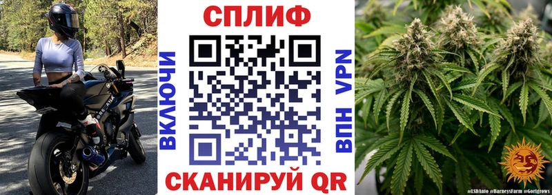 Бошки марихуана конопля Кинешма